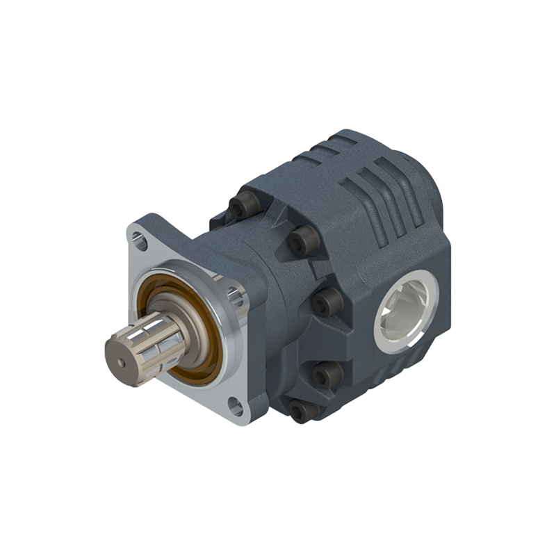 DPA 30 Serisi Çift Dönüşlü ISO Pompalar