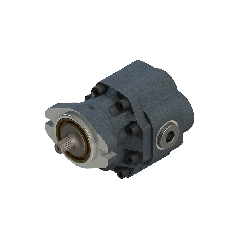 SAE A 30 Serisi Tek Dönüşlü Pompalar