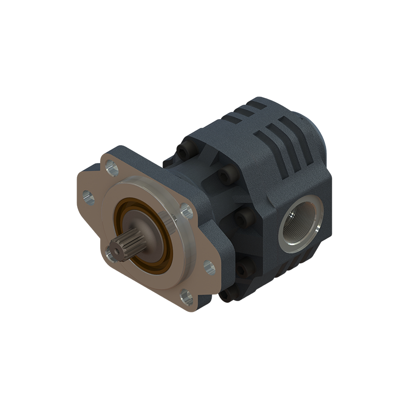 SAE B 30 Serisi Çift Dönüşlü Pompalar